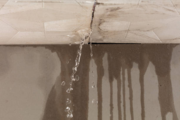 Professional Flood Damage Cleanup technician working in Hazel Park, MI